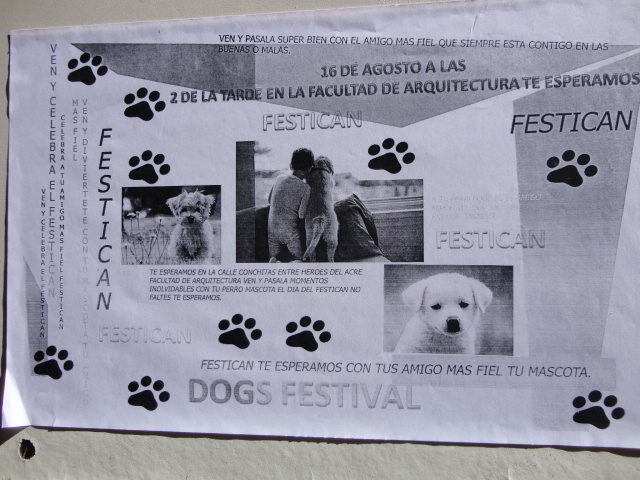 Afiche del FESTICAN (Festival de Perros) en Arquitectura, UMSA